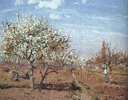Camille Pissaro Orchard in Bloom at Louveciennes USA oil painting reproduction